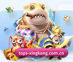 tops-xingkong.com.cn的故事 - 体育资讯内容服务